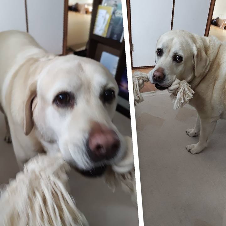 79b78dab 18a1 4eb6 a837 7c522e077149 1745466621489