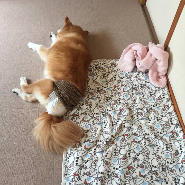 79b798ba ffff 41ab 94da 22b2e6e30451 1695522354995