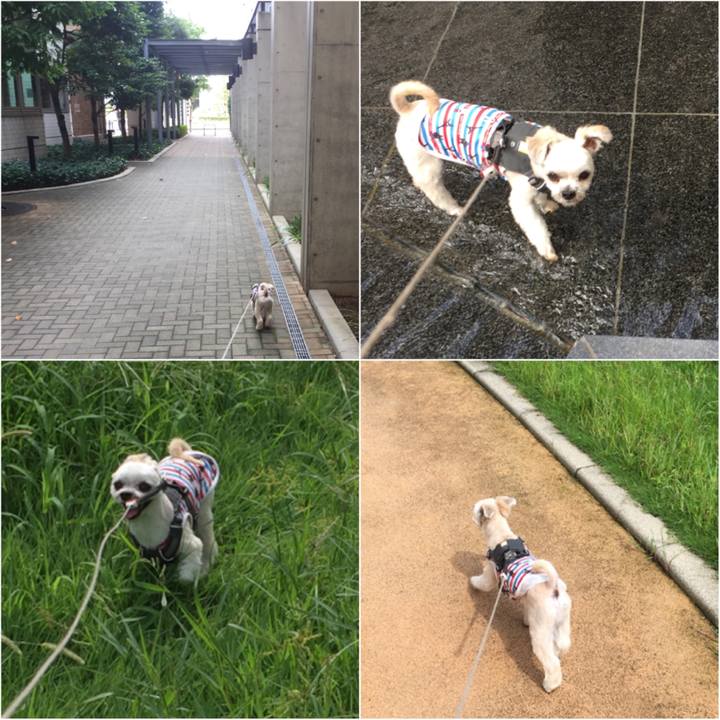 79b7a10d bb87 4040 8d86 cc60e65af1ef 1567242357586