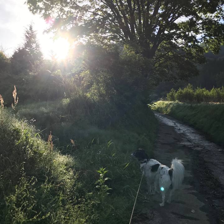 79b7b9ee 9f37 4cb0 bc04 302a6a83f54e 1526079400313