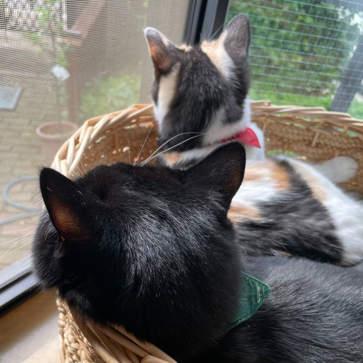 79b81245 49fe 4962 8a77 b802242bc44f 1717888175594