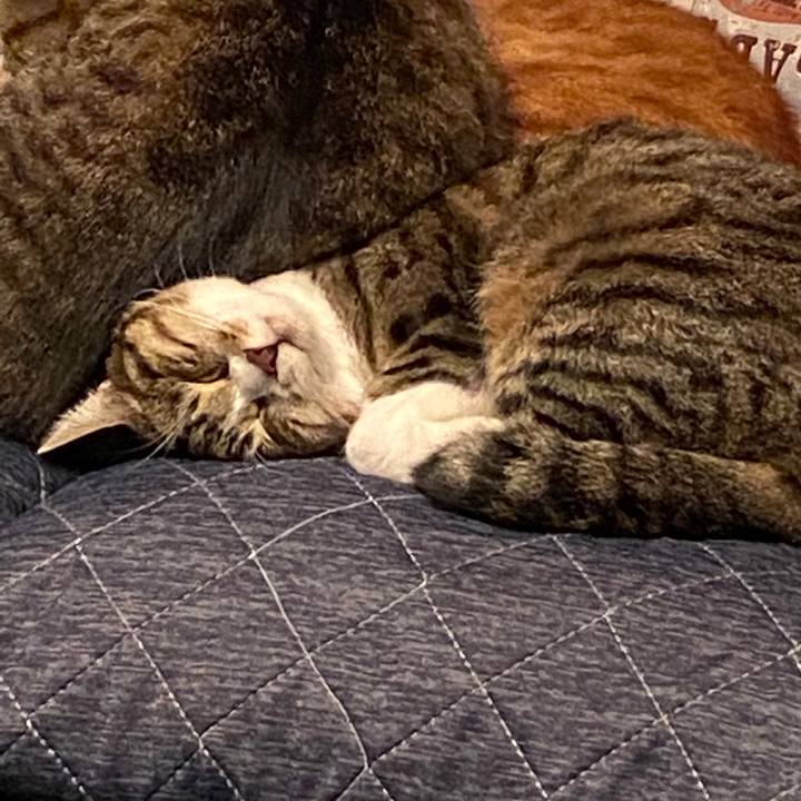 79b83733 ce84 4276 a4e8 28a5408fabea 1587041054521