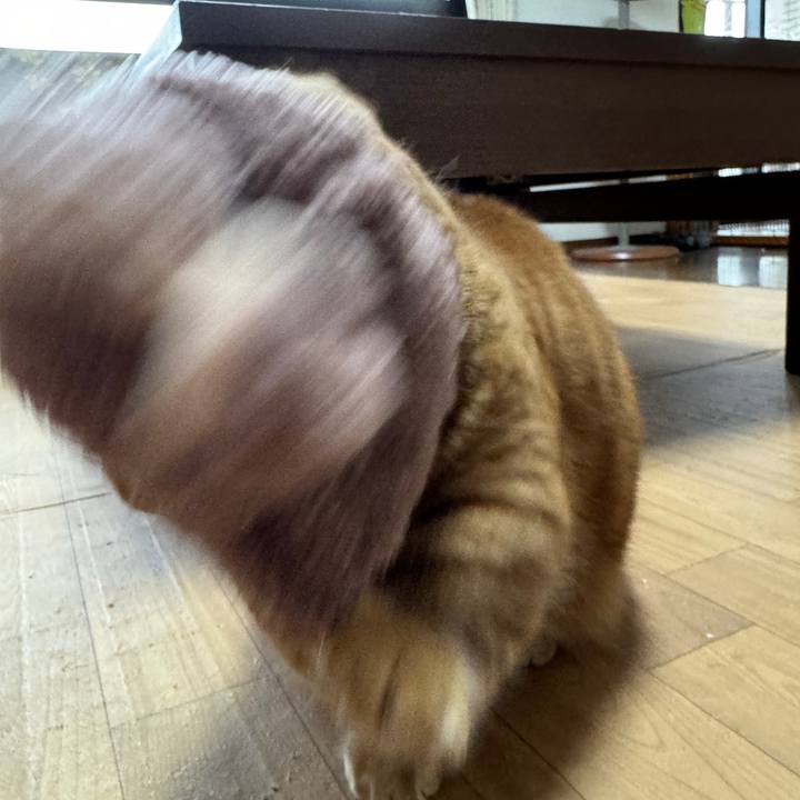 79b875d3 ff2b 4b76 a400 d568a7a8af0f 1713935495244