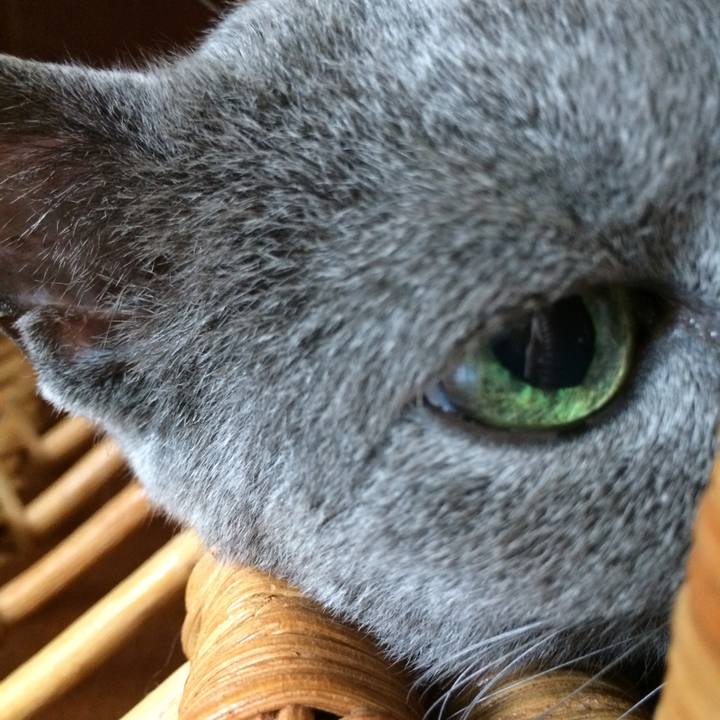 79b87f29 78b1 4d9f 93a9 58839a8d4e74 1530349801396