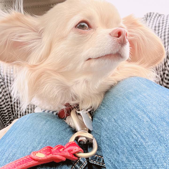 79b8c590 05fb 4437 b441 c8f60170f308 1653036918026