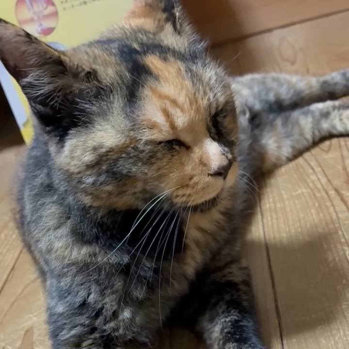 79b8cf64 b8d7 4e9b a59d 8b15b0a24c2e 1752918026085