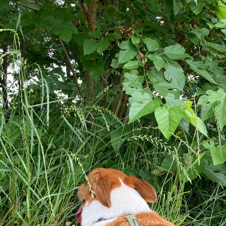 79b8cfef 9c57 44f7 9006 6601d50a2047 1748304415486