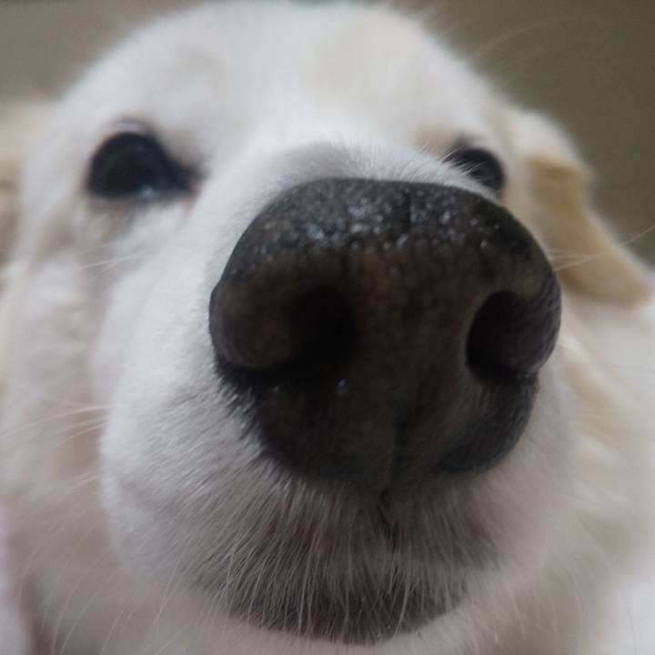 79b8d8af 883b 4009 96a7 edf69390b15d 1637757312846