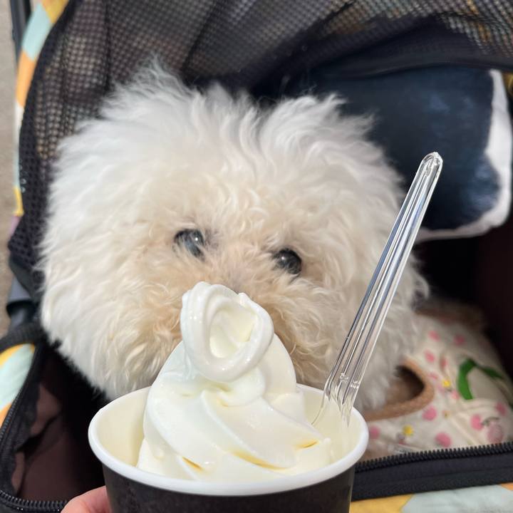 79b90a5b fdf4 4e16 b8e0 8c027661f93f 1776200972614