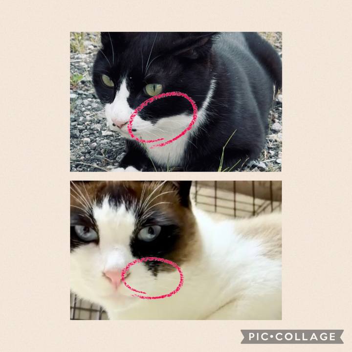 79b94709 50e4 4fa0 bfae 2614d5effbb0 1748678071565