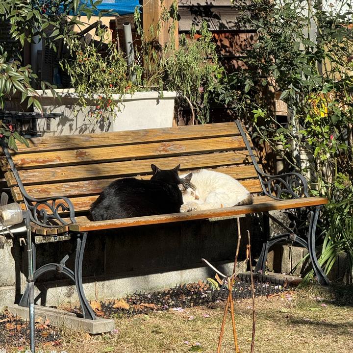 79b95995 3c6b 4d56 82f9 fef47c26bd2d 1765507510241