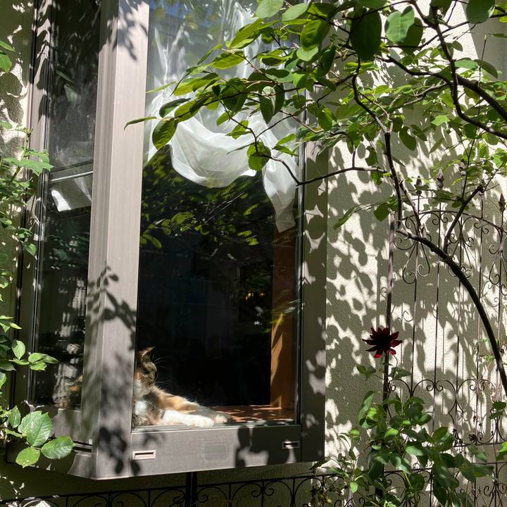 79b97994 bca7 4c24 807c 5eac558c1359 1760743709087