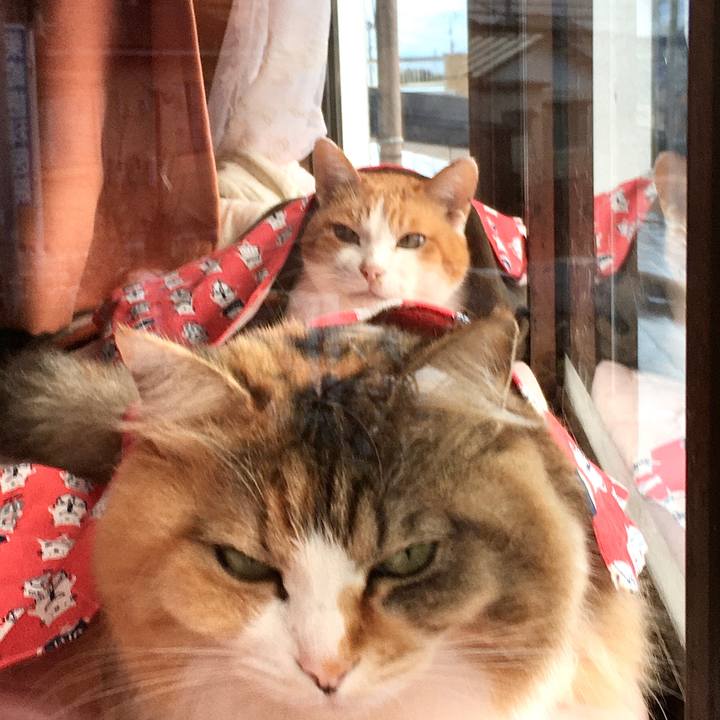 79b98351 844f 49e3 a3c8 e38d82d8d3cf 1579232887888