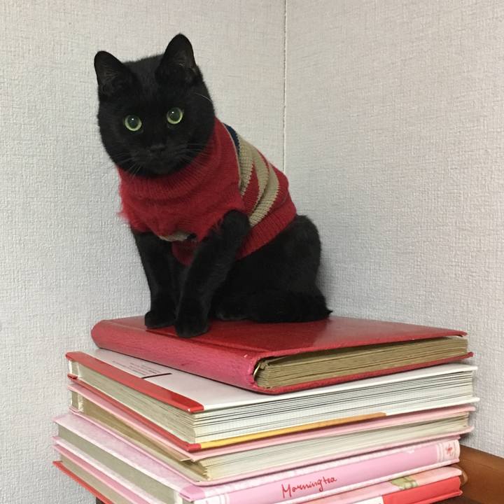 79b98b62 cfd5 4fe4 a6f1 2cc44f5c9ee5 1543327884757