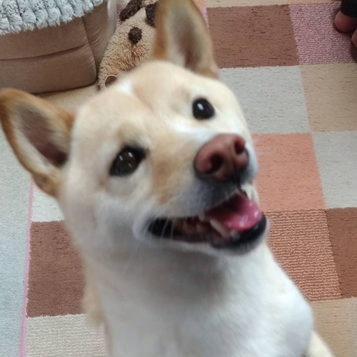 79b9a042 24df 4816 803f cba0922691de 1582236613199