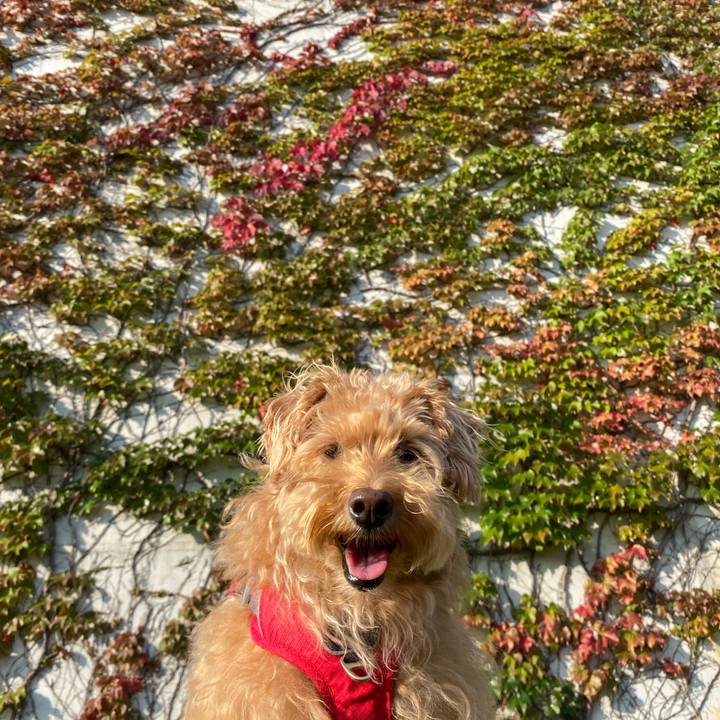 79b9add0 5ca6 4de3 a311 109df0faca24 1696114984297