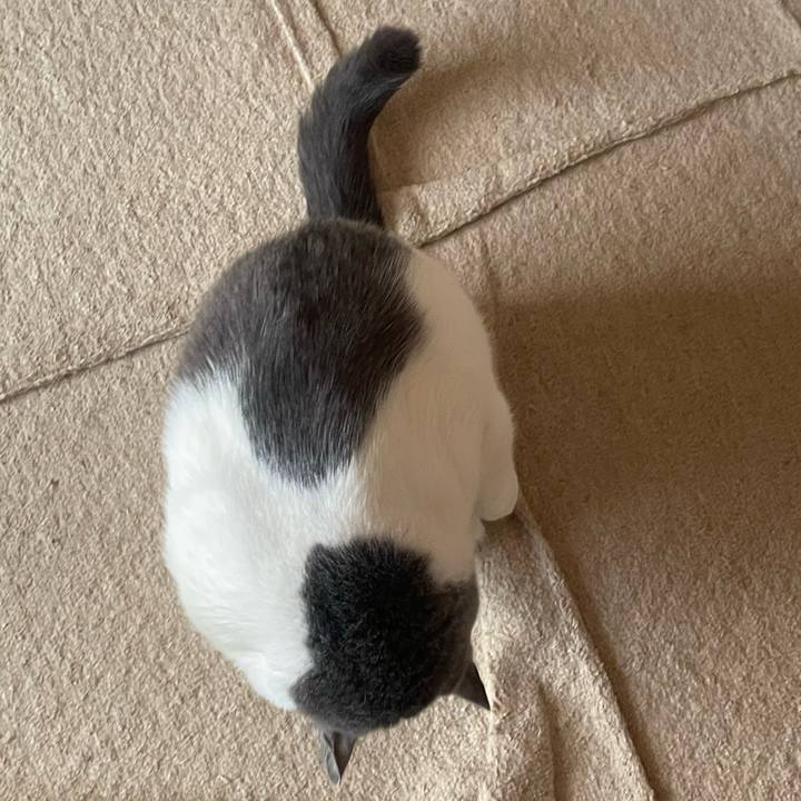 79b9c890 8810 4e1d a6ff cd3131cd3e4e 1739846464174