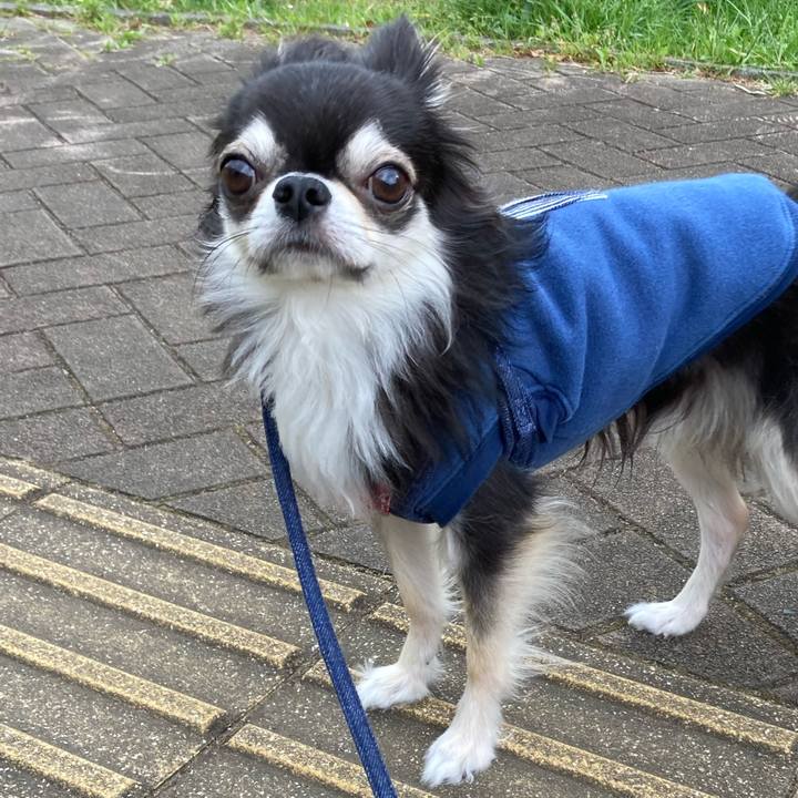 79b9fe04 f582 490d 8b09 10c19df42d45 1680854589283