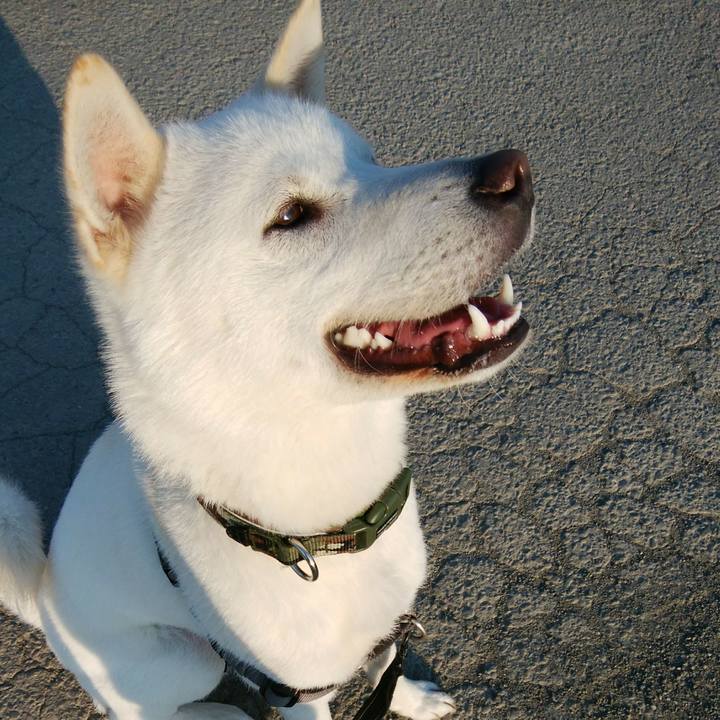 79ba05d8 0965 45da b196 b46aab781f67 1524977616800