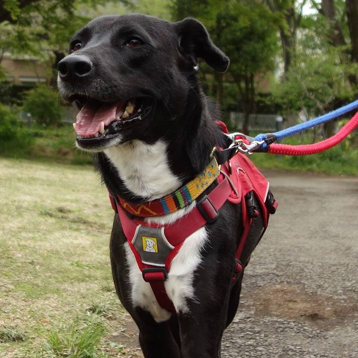 79ba54a3 1259 4dbb 8a92 1b89dcc6ad58 1587087758854