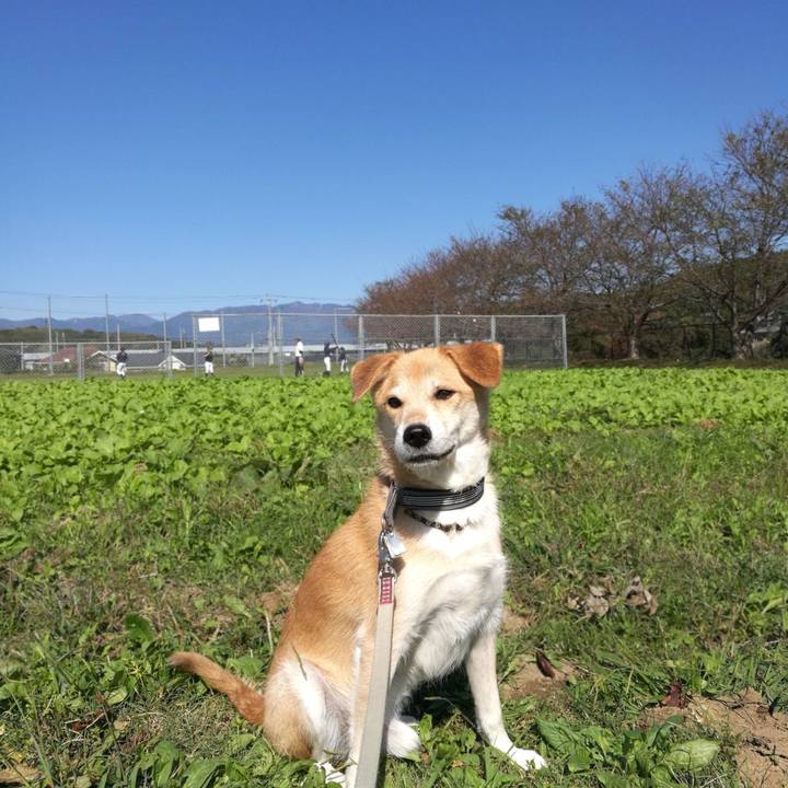 79ba7d77 4542 4773 8037 0d632b7427fa 1540088177855