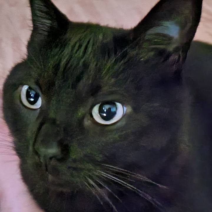 79ba84f8 9064 496d 86e6 e24fa0360adb 1685755635536