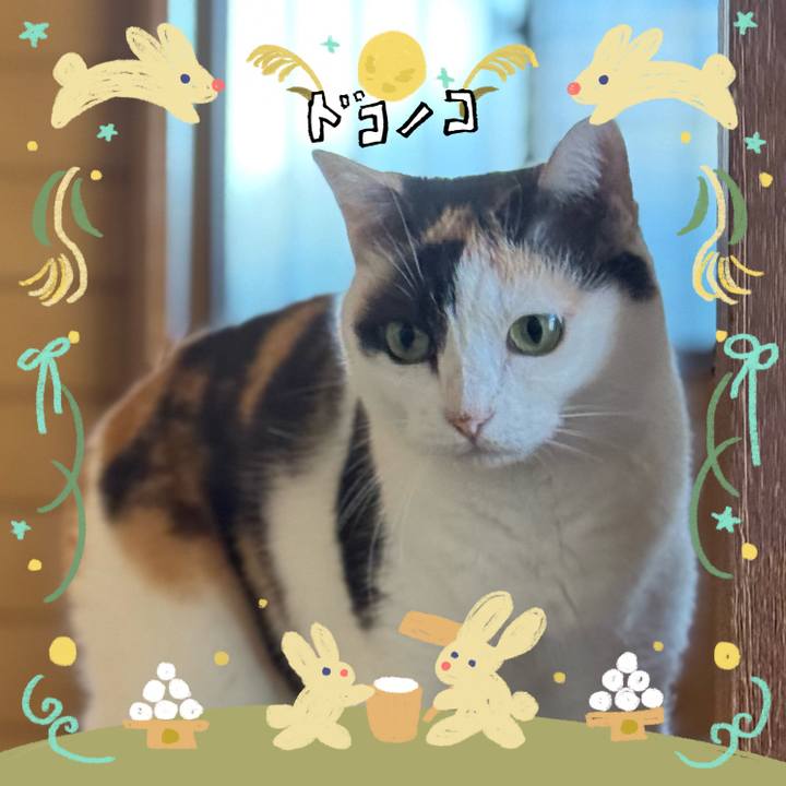 79ba9342 0e3e 43fe 8bb9 02faed3eac67 1726800995371