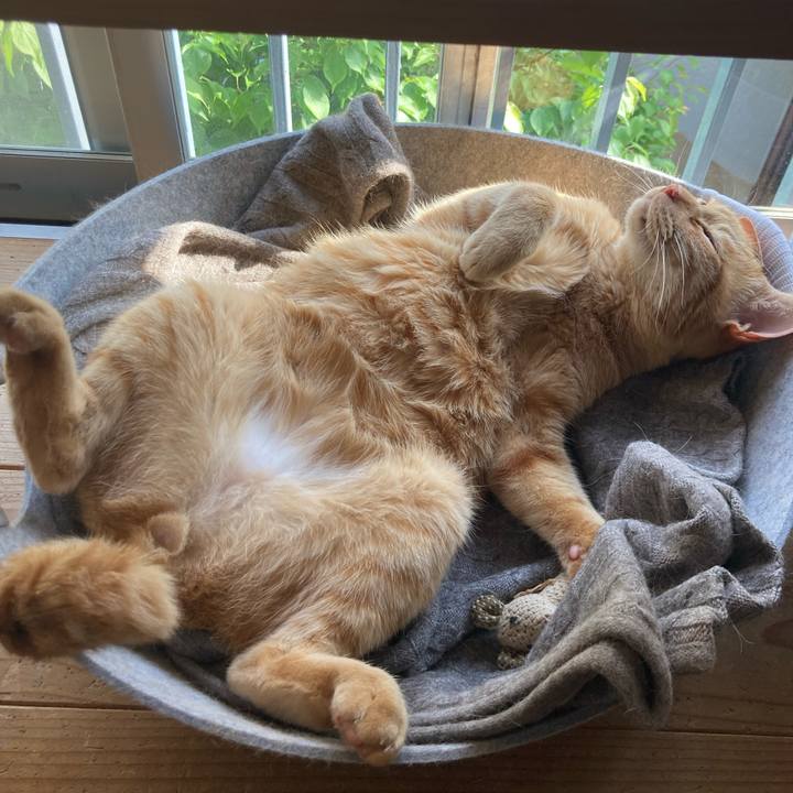 79baa48b 1623 46c6 afcb 6b4a0240a3ad 1651067120055