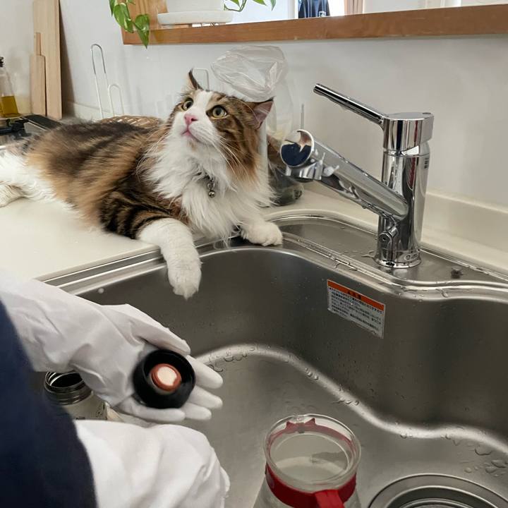 79baf041 22a3 4379 8a73 58a6ac3b2f1b 1654385342502