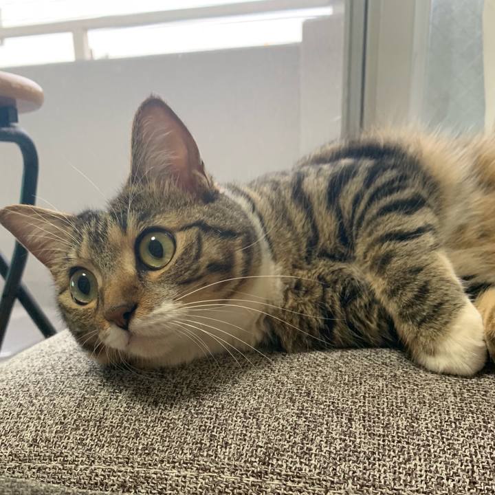 79bb1205 3383 4b09 b16e 80c8ac1a14e3 1560904425349