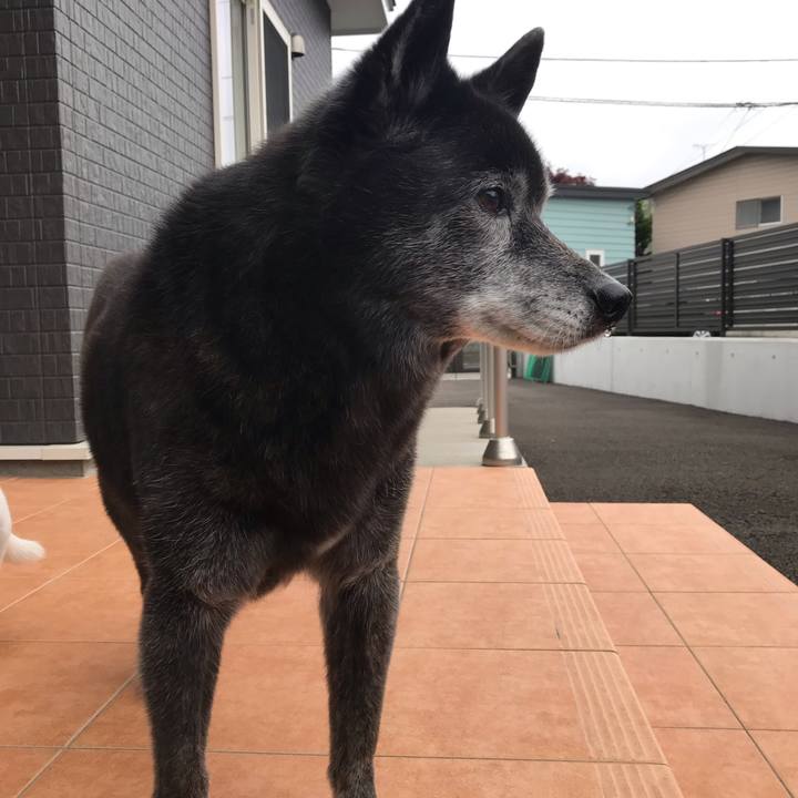 79bb4084 df85 4d50 ad1c d049e5d39f4f 1659586146328