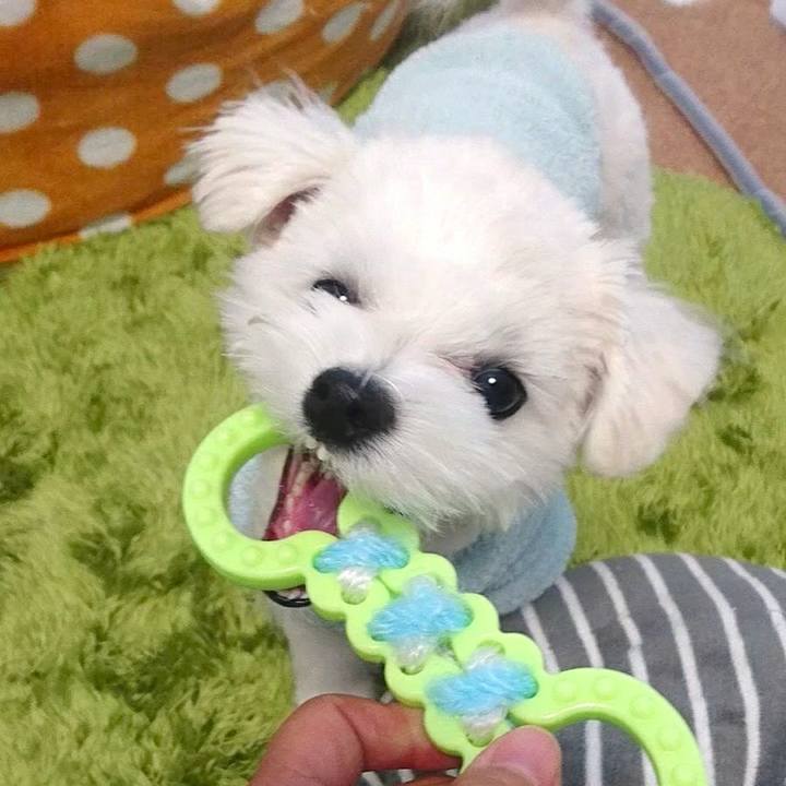 79bb73ab 3677 49bd 9aac 6e7a8ccf4b53 1512608840129