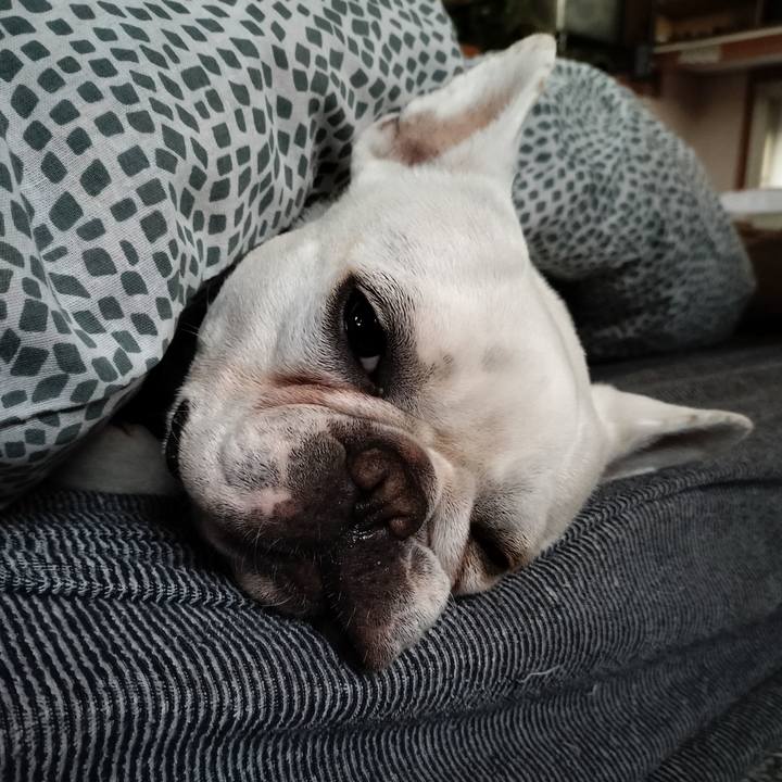 79bb9571 1071 4e09 b08d c5293e9b1d79 1672524665414