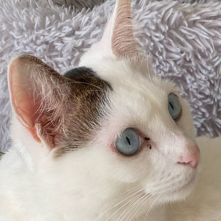 79bbb667 c669 4c62 832e 500685be8bfb 1671231772776