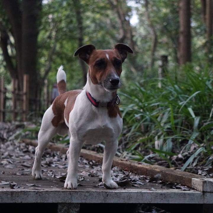 79bbc681 7c94 4650 95b8 29b32bddc72c 1540249205925