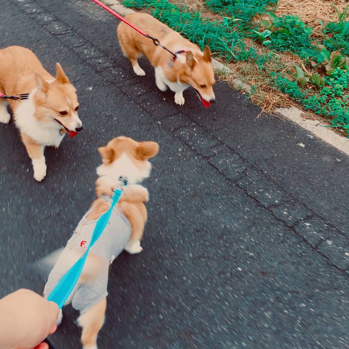 79bc1923 def2 405f aecc ade96cf29225 1568934378621