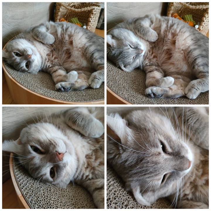 79bc26db 6995 4ffe 871e 5fa83908dd9e 1639924153129