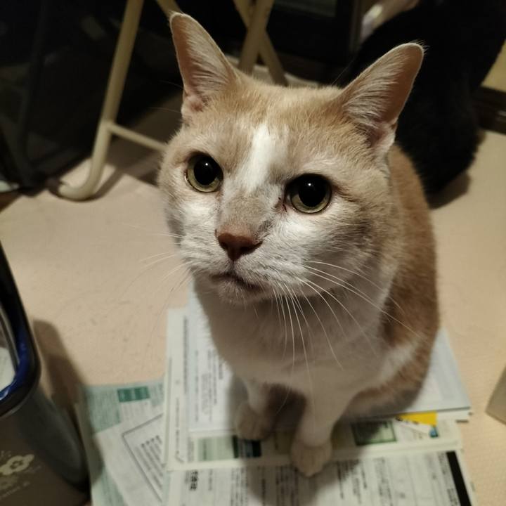 79bc8ecf c5b7 47dd b4d1 439b64d3bac9 1636286285180