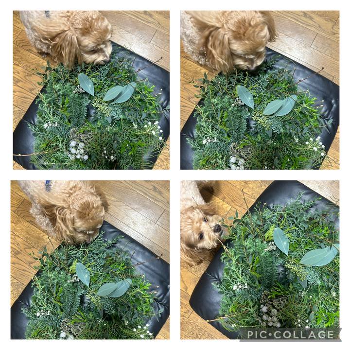 79bc8f02 db5c 4259 95d6 49c887152f2a 1733044737985