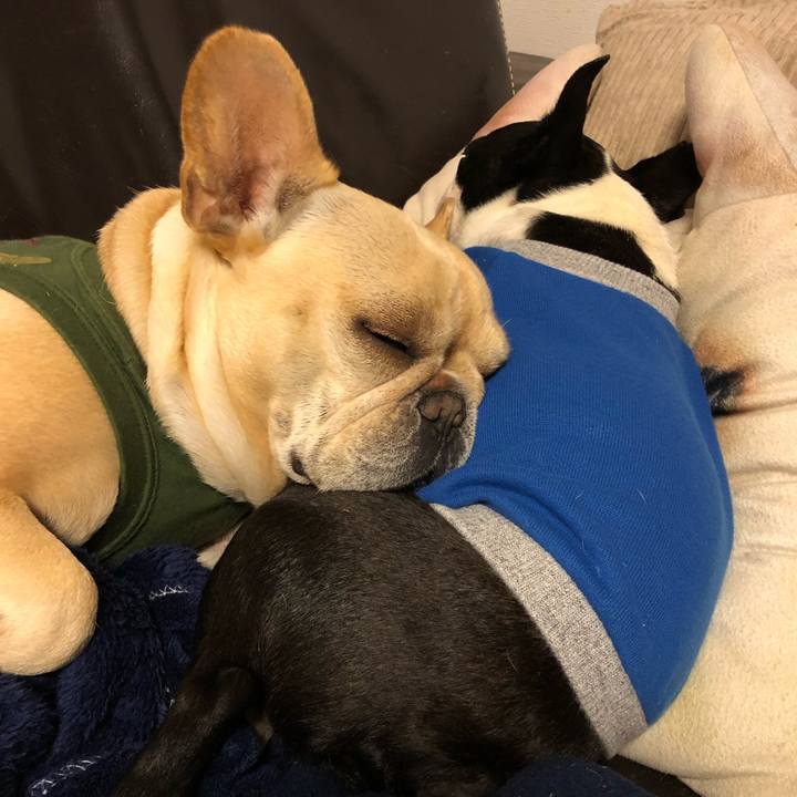 79bcb66a d3a4 4350 8dd9 9c1f9264c850 1578399220618