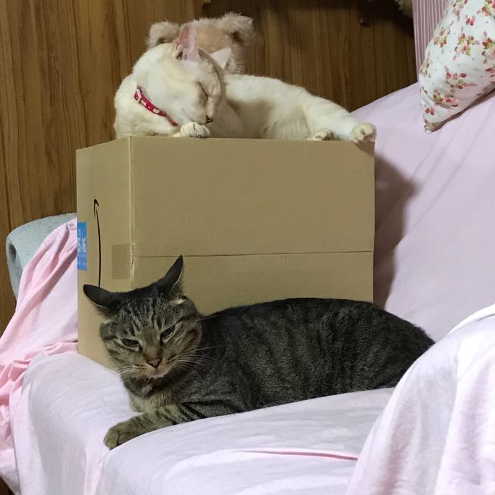 79bcc401 0f8b 4f57 8546 41bbde064070 1562326732915