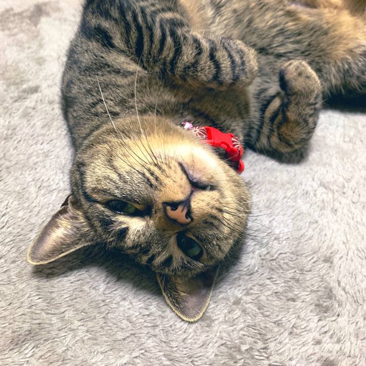 79bccf2b 53a9 422e 9a16 19616e2ba988 1549724593457