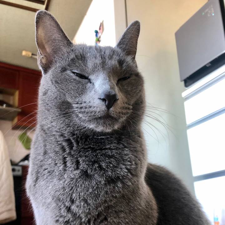 79bce200 bafd 409b b371 c9e3bb558d2c 1583195100907