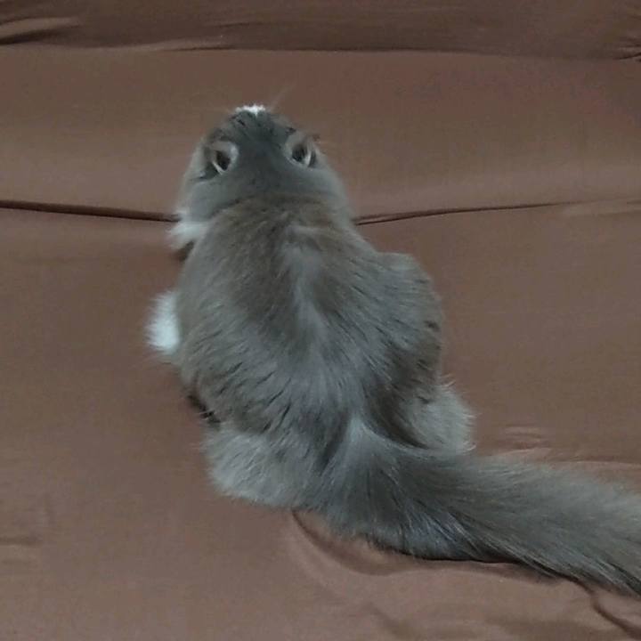 79bcf616 3e0a 4e5d 8959 62da084fb45a 1713774916360