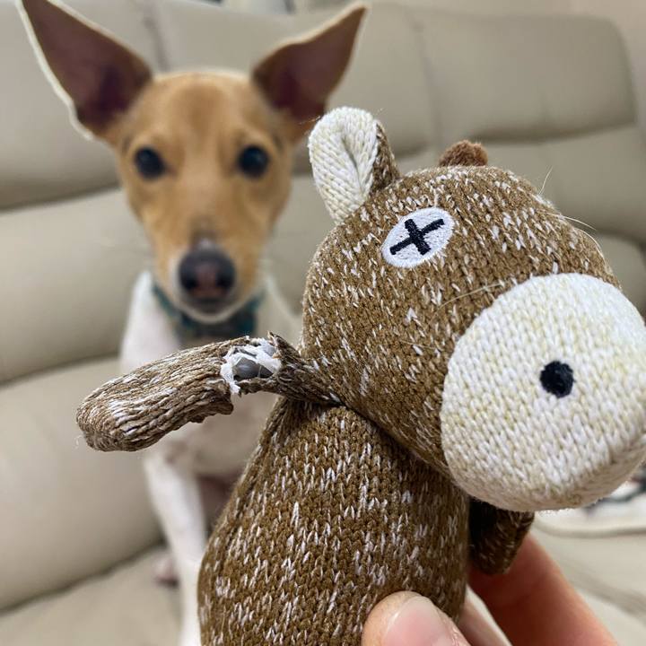 79bd27d0 4830 49c4 829c 607f5f249497 1770444786299