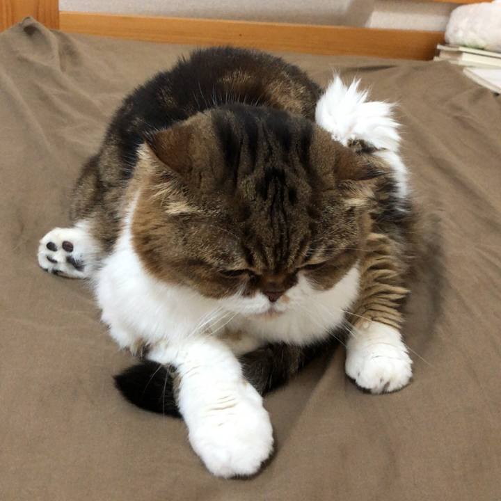 79bd3565 8773 482f 974a dd7238531a9a 1539324522495