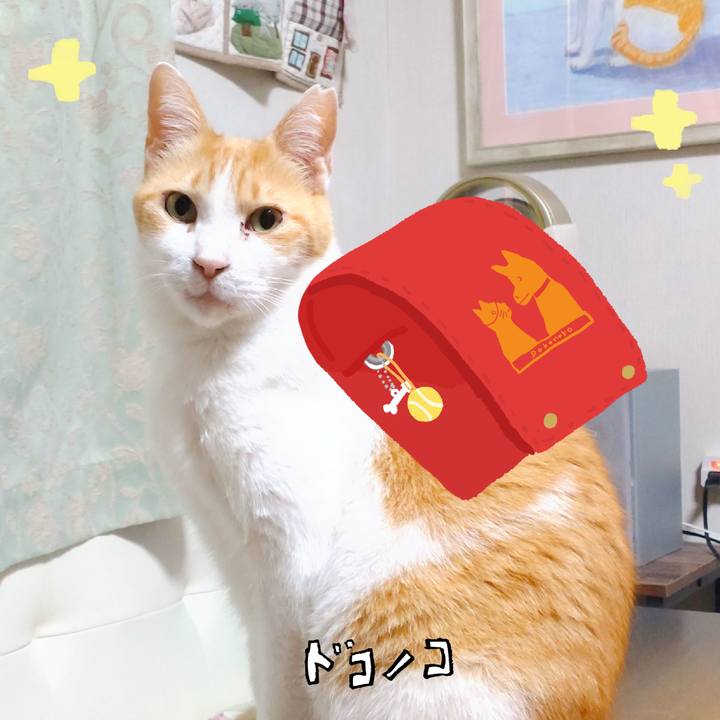79bd54be 6644 4b0b b3ab b7cb2e8c036b 1744451820203