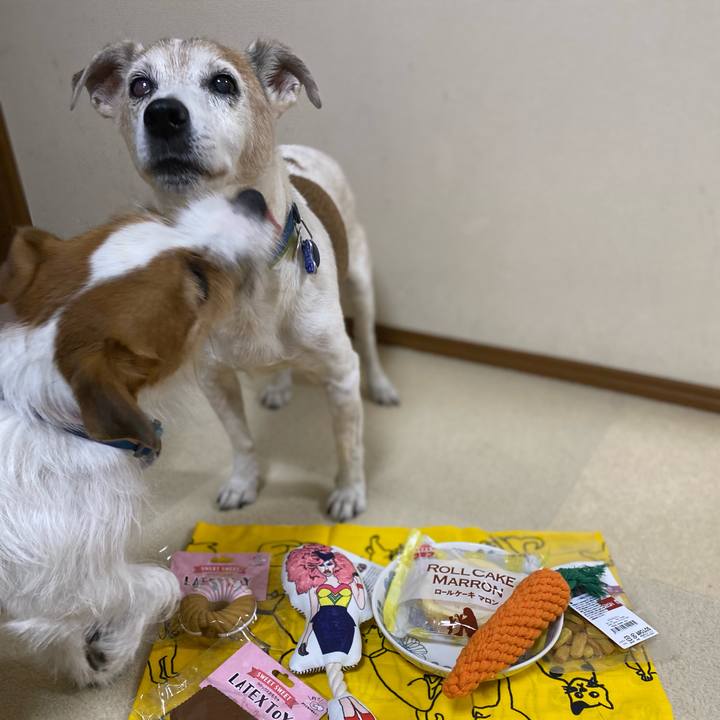 79bd68eb 8e07 427b 84a9 957f52f63ded 1666958645832