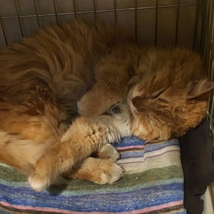 79bda7ba c8c4 4c8d 89a2 ca70a2e89fbb 1525759250231