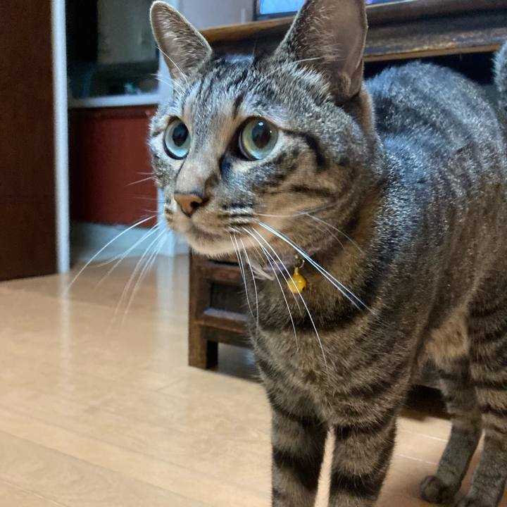 79bda90f 547a 4a41 907d f85f78e7ff78 1635541952762